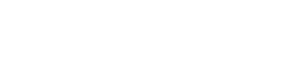 Vizpert
